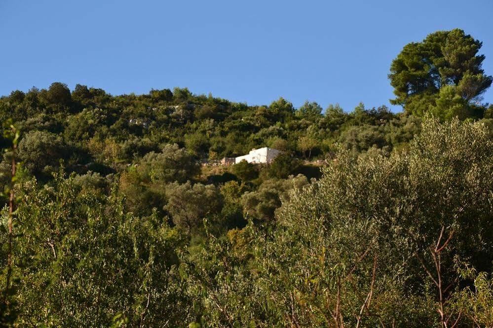 Ferienwohnung La Lamia 1864 By Rentbeat Ostuni Exterior foto